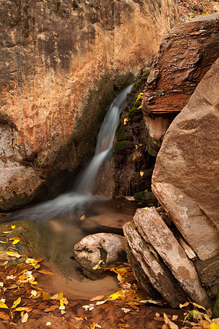 Cascades. Zion National Park - November 1, 2008.