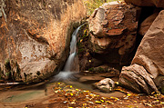 A moss covered cascade feeds an emerald pool - Zion National Park