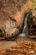 Cascades at the base of Hidden Canyon - Zion National Park