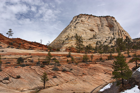 Fleeting snow. Zion National Park - March 25, 2006.