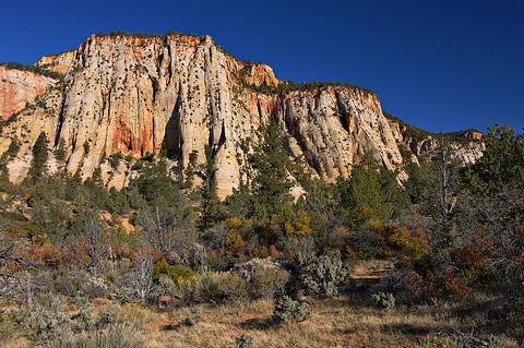 White cliffs near Checkerboard Mesa. Zion National Park - September 30, 2006.