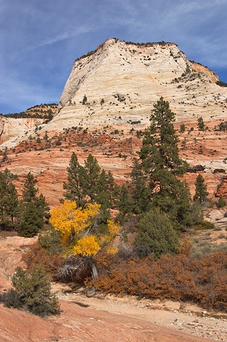 White cliffs. Zion National Park - October 28, 2006.