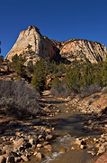 White cliffs and Clear Creek - Zion National Park