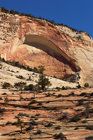 A blind arch near Crazy Quilt Mesa. Zion National Park - March 12, 2005.