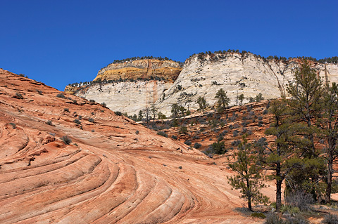 Red rock and white cliffs. Zion National Park - March 26, 2005.