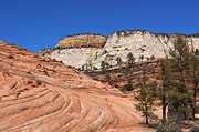 Red rock and white cliffs - Zion National Park