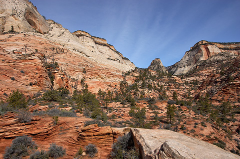 White cliffs west of Progeny Peak. Zion National Park - March 27, 2005.