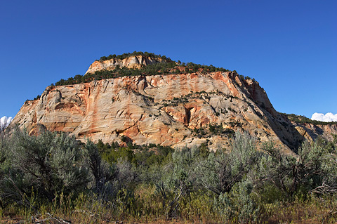White cliffs at the east entrance. Zion National Park - May 28, 2005.